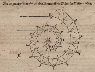 Determinación de las longitudes de las espinas aplicadas en una espiral tangente